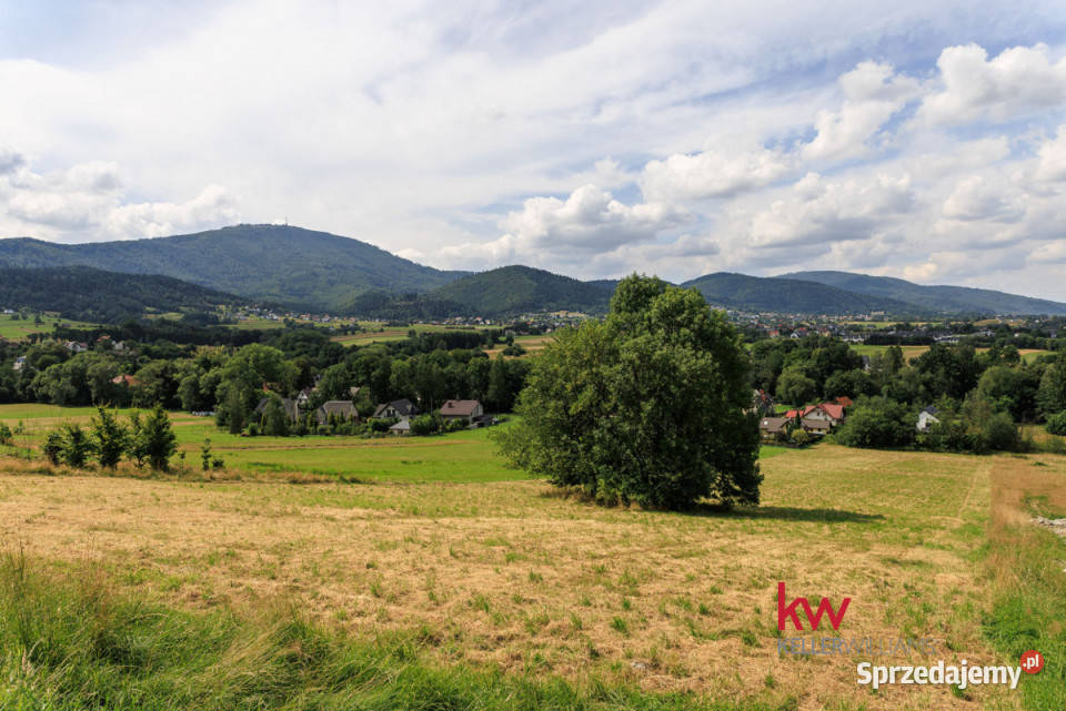 Dom wolnostojący Lipowa 21314m2 213.14m2 Sprzedaż