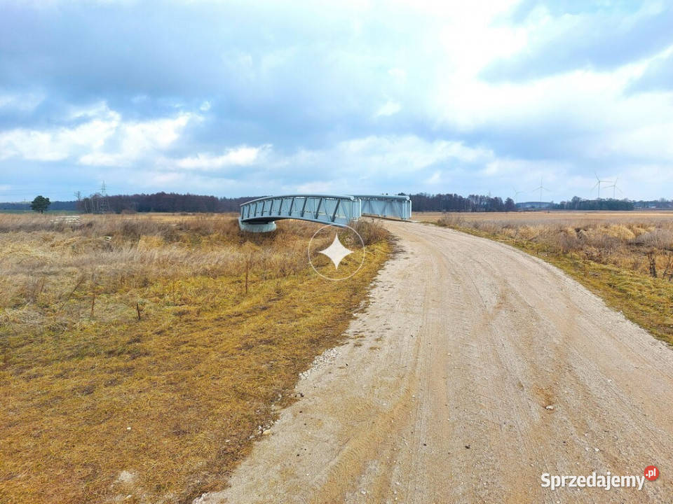 Łąka Horbów Kolonia gm Zalesie pow bialski Horbów-Kolonia