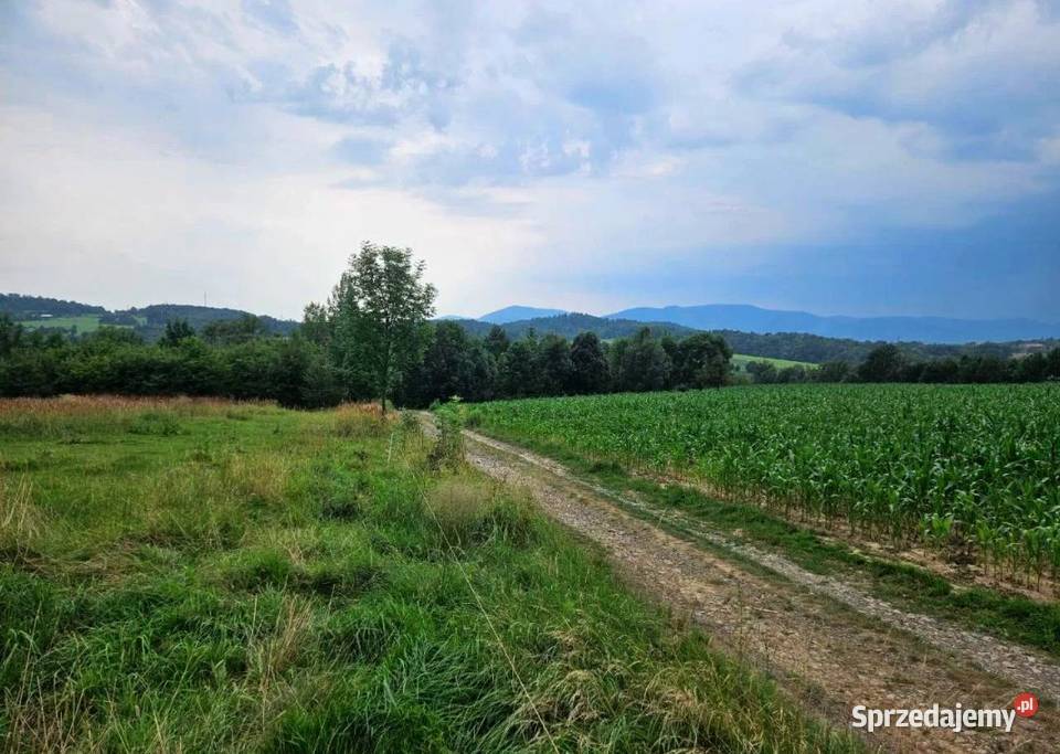 Działka granicy z Czechami RATY 46zł/m2 Cieszyn