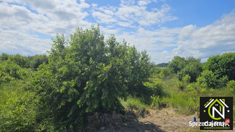 Działka 9800m2 Laska woda sprzedam