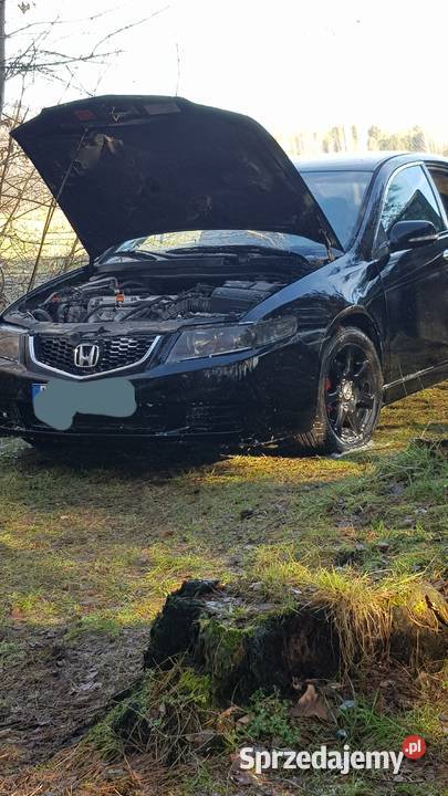 Listwa maski chrom Honda Accord VII Szadek