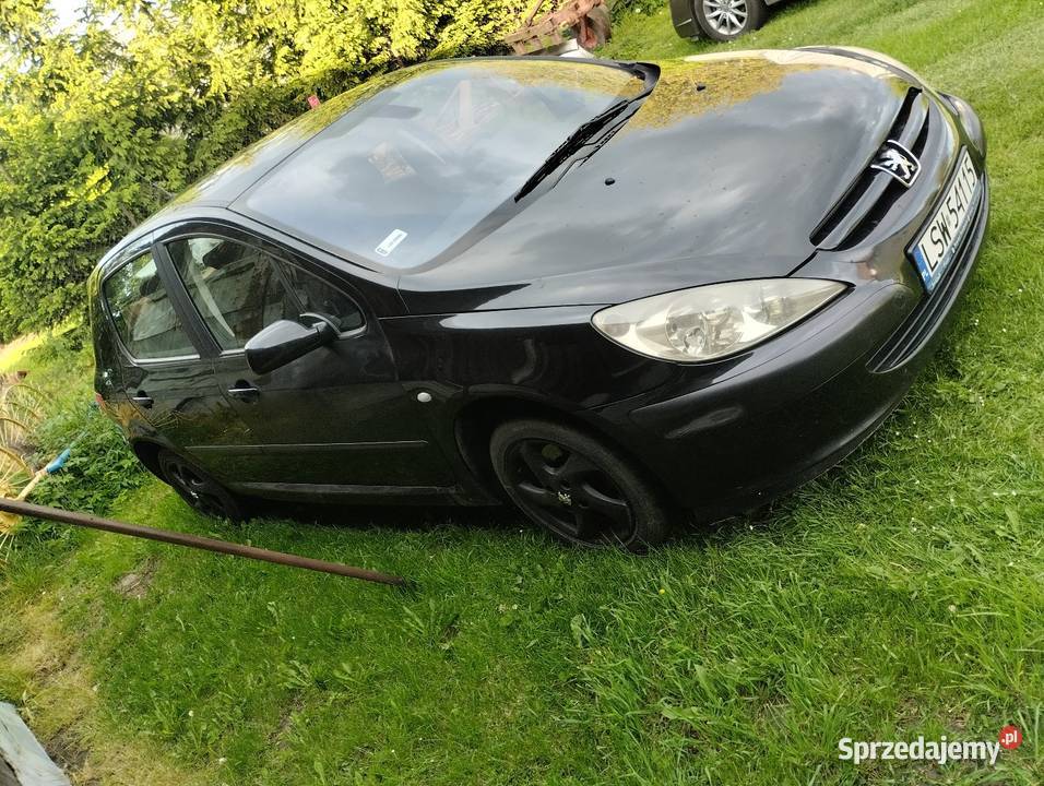 Peugeot 307 16 benzyna lubelskie Oleśniki