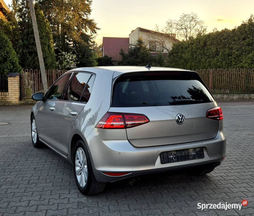 Volkswagen Golf 7 16 TDI BlueMotion Hatchback wielkopolskie Leszno