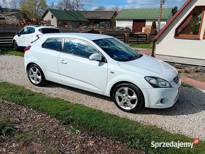 Kia ceed 16 Busko-Zdrój