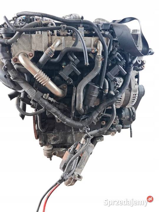 Chevrolet Captiva 22 VCDI Z22D1 Silnik Kompletny Opole Lubelskie