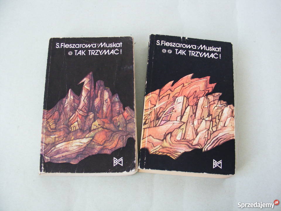 Tak trzymać t 1 2 Wiatr lądu Brzeg Fleszerowa Oborniki Śląskie sprzedam