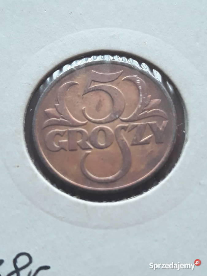 5 Groszy 1938 r Śliczne J Konin