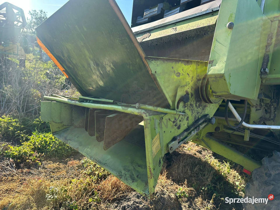 Claas Dominator Mega 88 98 202 204 Sieczkarnia wielkopolskie Jastrzębniki