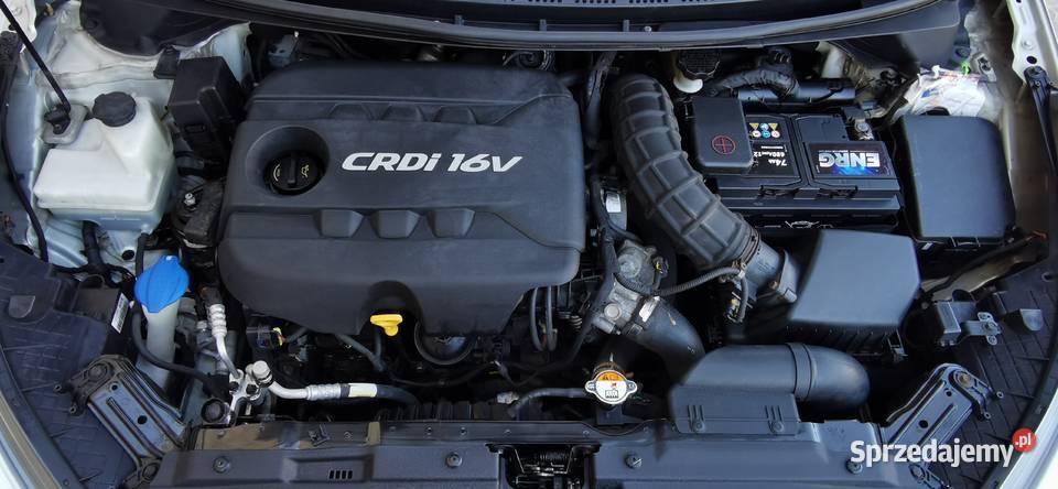 KIA CEED 2015r 16 CRDI 128 SALON POLSKA Rok produkcji 2015 Poznań sprzedam