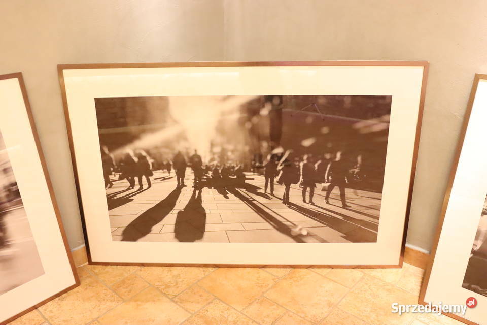 Komplet pięknych fotografii w metalowych ramach Wyposażenie wnętrz Pszczyna