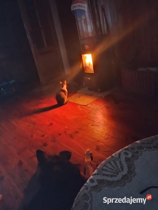 Wiejskie Życie Domek z Ogrodem w Feliksowie Feliksów