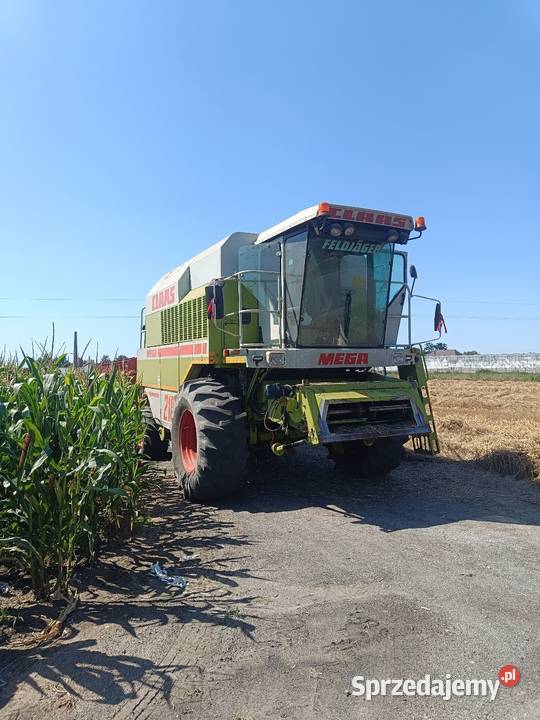 Sprzedam Jastrzębniki