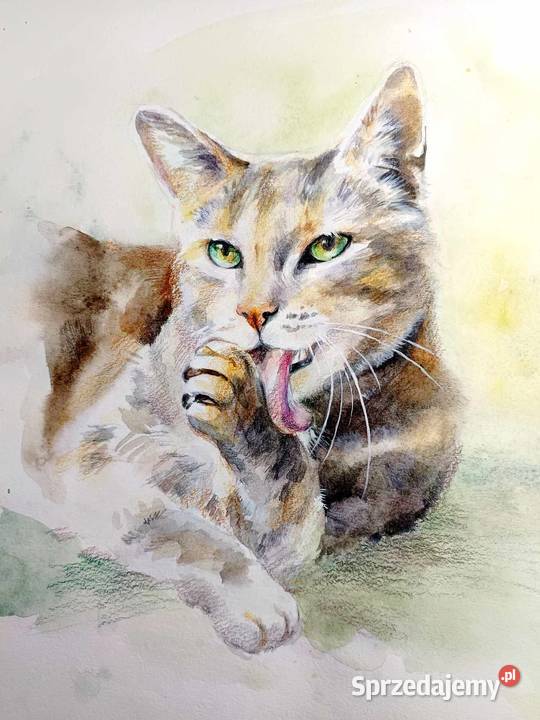 Oryginalne ilustracje do wierszy FJKlimka Warszawa