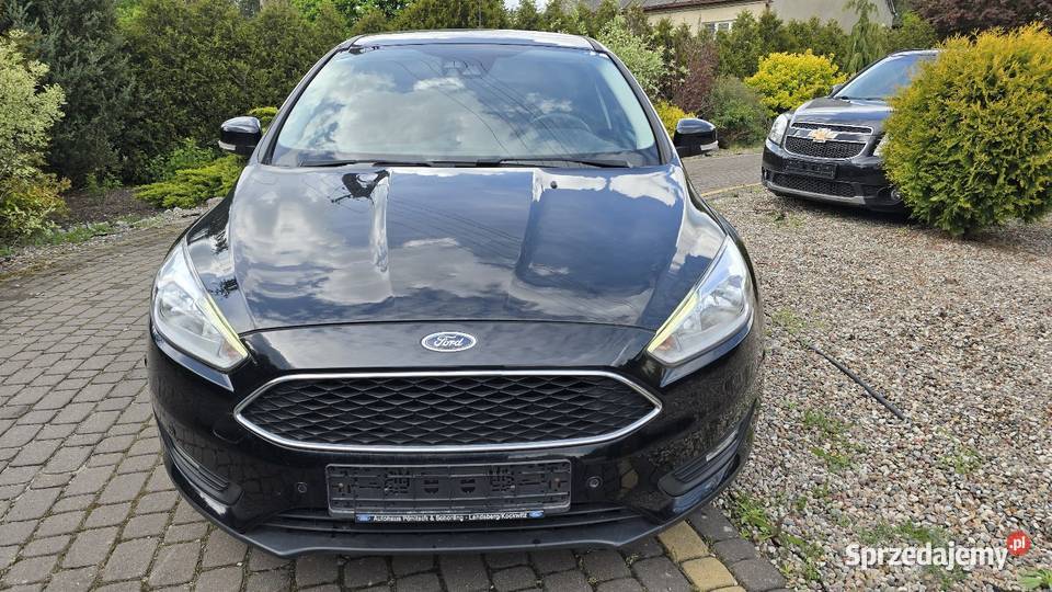 Ford Focus Benzyna Bogate wyposażenie Focus Toruń
