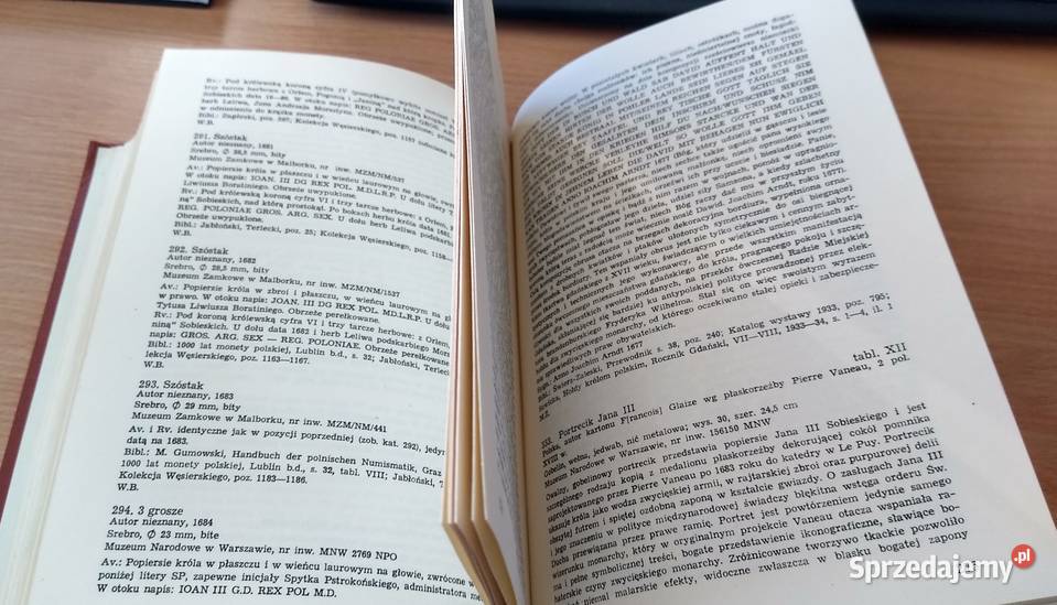 Chwała i sława Jana III w sztuce i literaturze Gdańsk