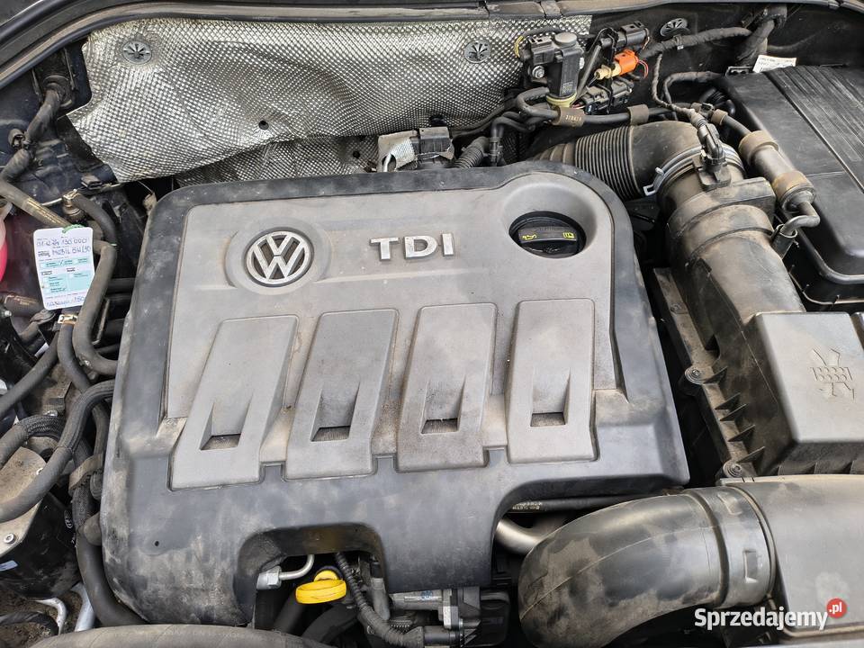 Volkswagen Tiguan 20 Niski przebieg wielkopolskie Piłka