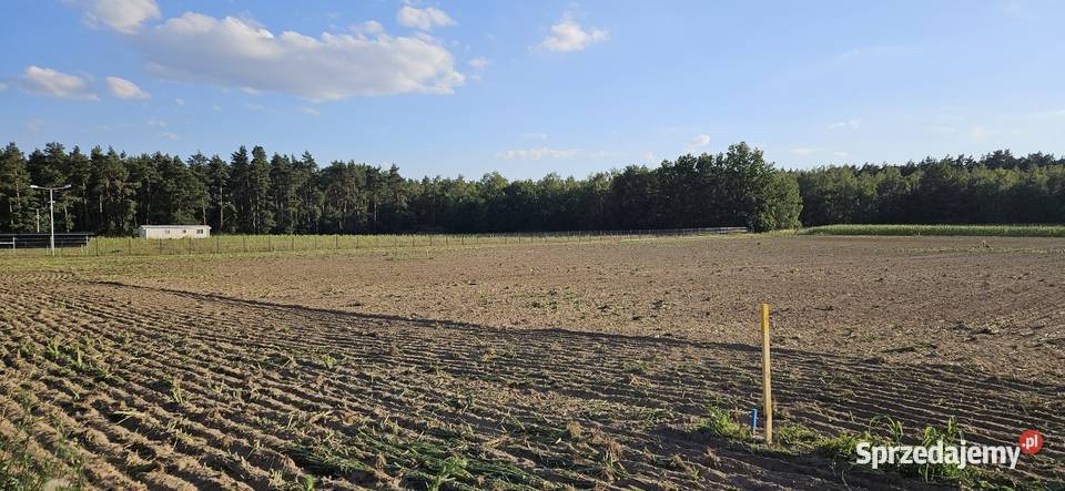 Działka budowlana las i jezioro 1162 m2 MPZP 2 Nowy Dwór