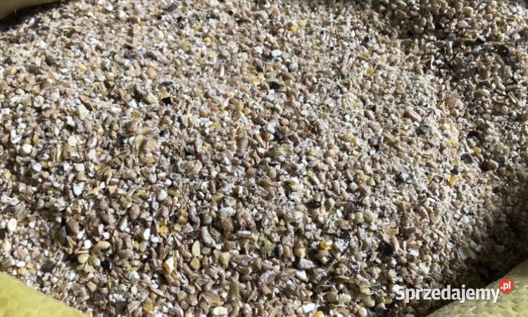 Śruta zbożowa mieszanka drobiu kur Osiek