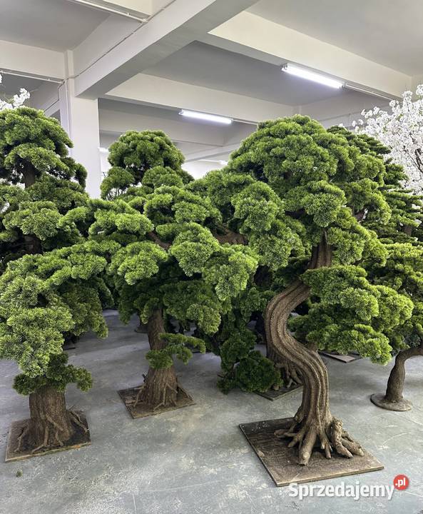 Sztuczne drzewko bonsai 180 x 210 nowoczesna Golkowice