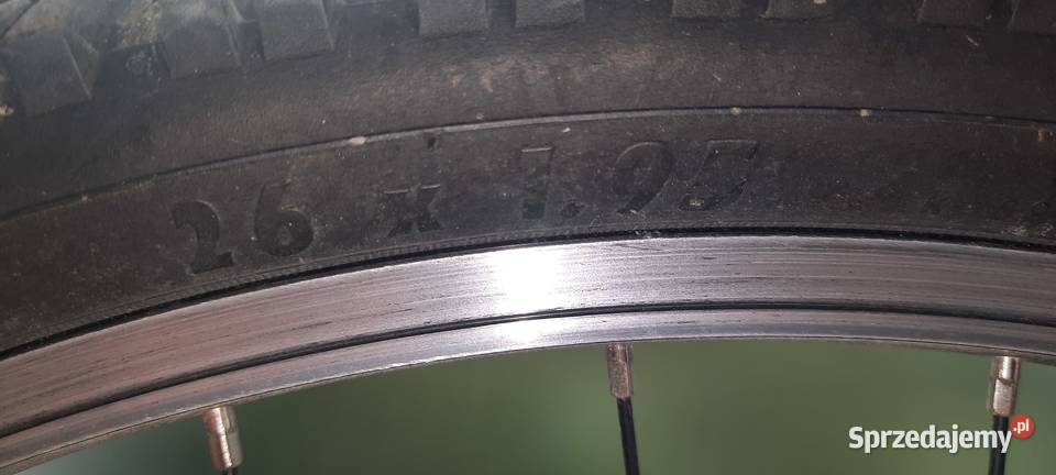 Rower GIANT REVEL 5 26