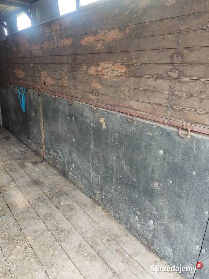 Przyczepa do przewozu bydła Durdy