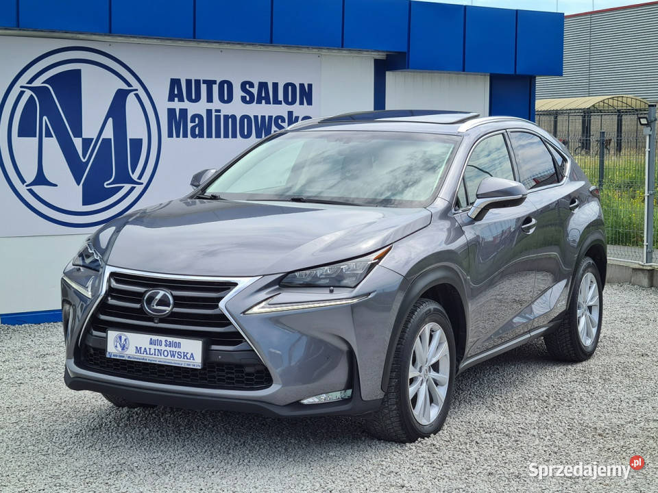 Lexus NX Navi 2xPDC Kamera 360 ESP Wągrowiec