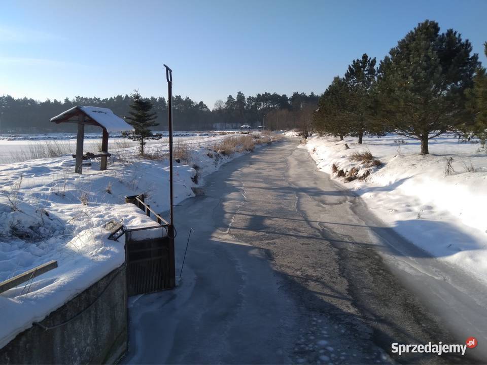 Stawy hodowlane rybne las działka 542 ha Działka Sprzedaż Krężnica Jara sprzedam