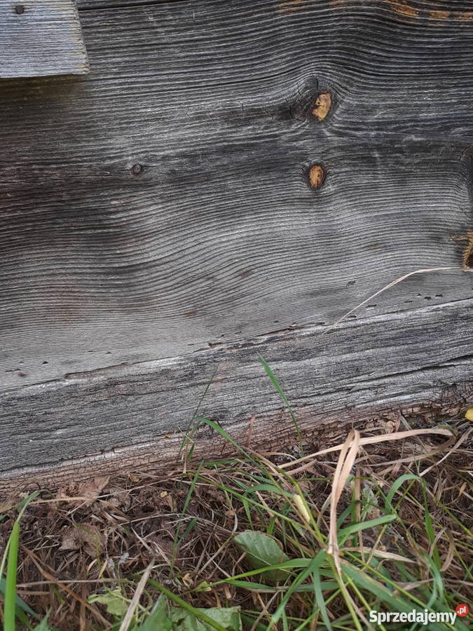 drewniany spichlerz rekreacyjny