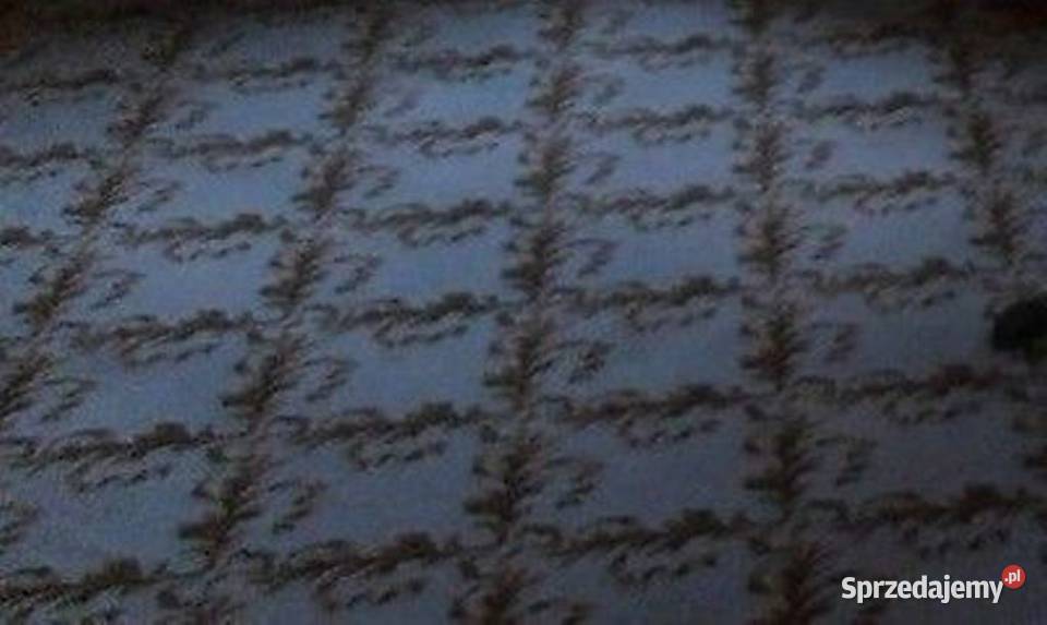 WYPRZEDAŻ Wykładzina dywanowa mało używana Radzymin