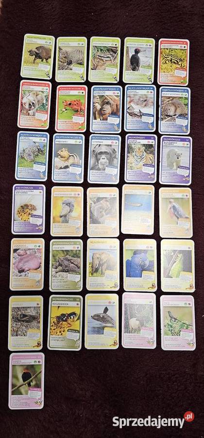 Karty Super zwierzaki 31 sztuk biedronka Kraków