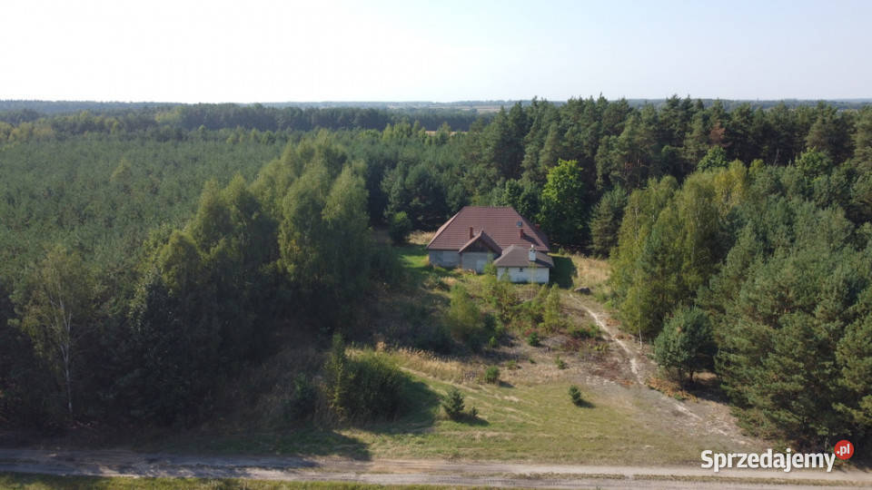 Dom na dużej działce w Świesielicach gm Sprzedaż Świesielice