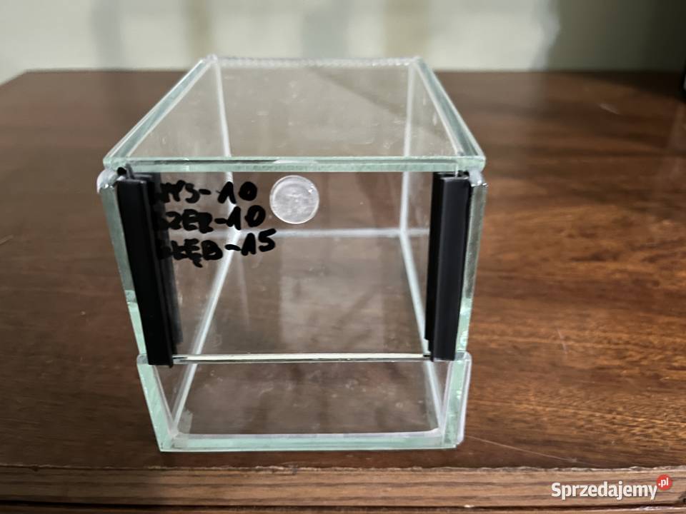 Sprzedam terraria Terrarystyka Wiejca