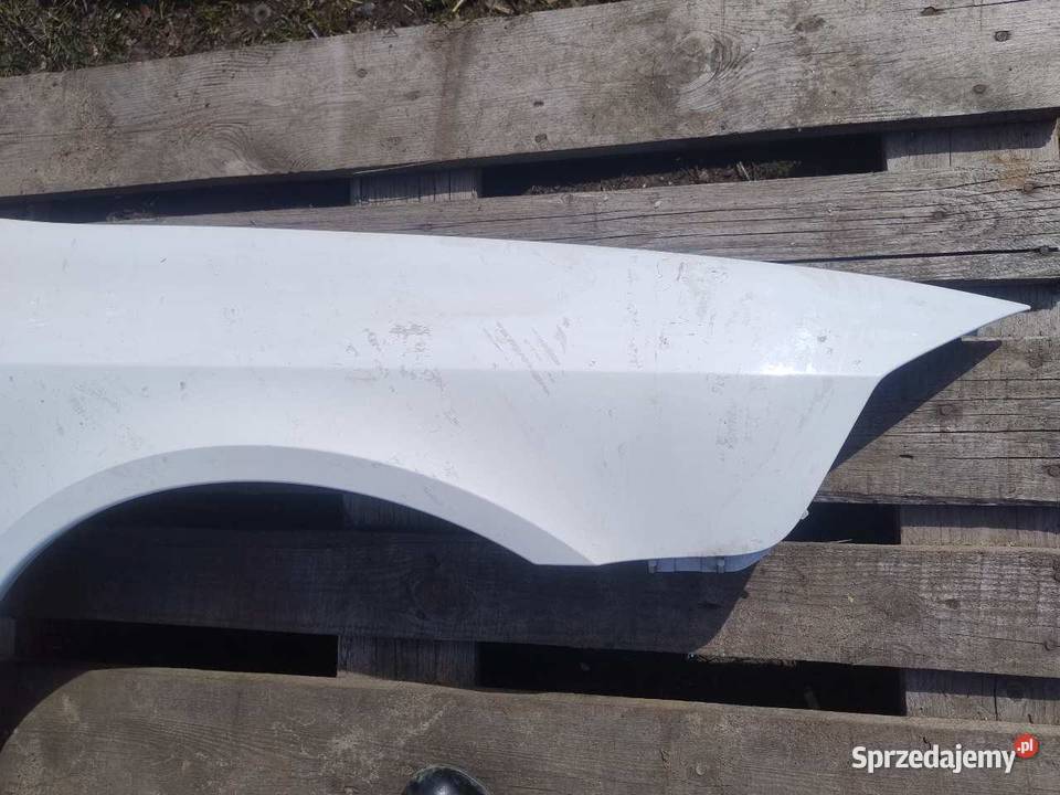 BŁOTNIK PRAWY PRZÓD RENAULT LAGUNA II Błotniki wielkopolskie
