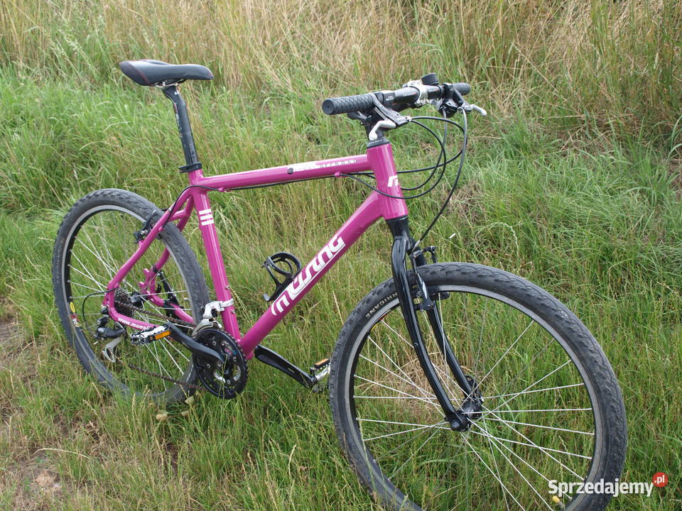 Rower MTB Musing Off Road Chojnów