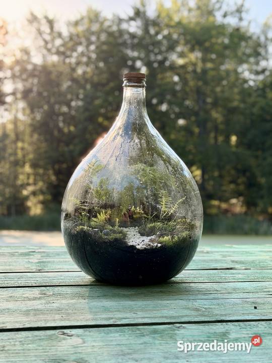 LasOgród w szklanym gąsiorze na wino Kęty sprzedam
