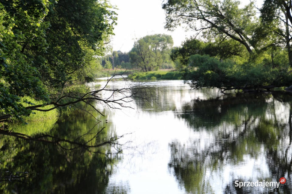 Działka rzeką Liswartą Troniny możliwość budowlana