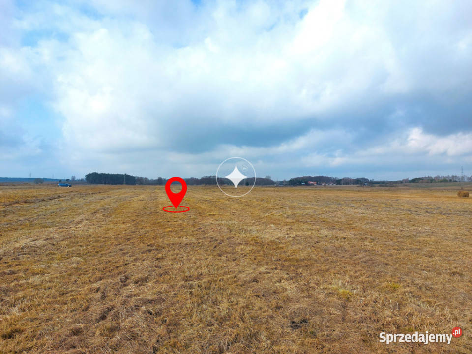 Łąka Horbów Kolonia gm Zalesie pow bialski rolna Horbów-Kolonia