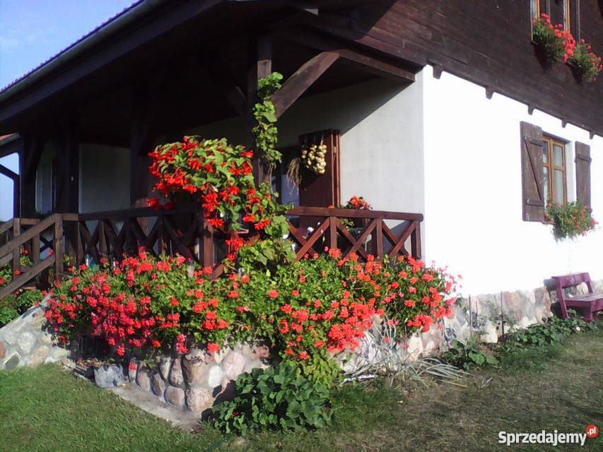 Dom na Mazurach pod lasem i jeziorem Sedranki