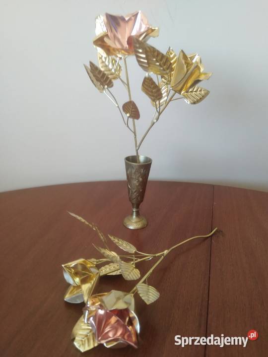 Różyczki Szczęścia inny kolor dolnośląskie Wałbrzych