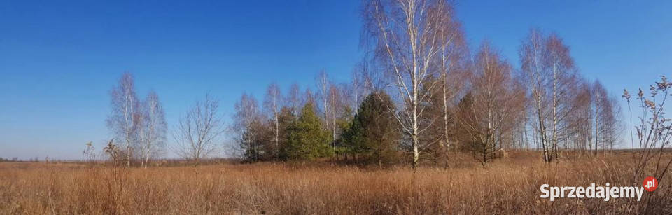 Piękna działka rekreacyjna na zaciszu Karczmiska asfalt