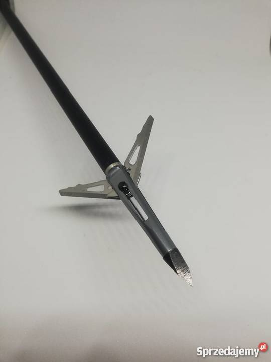 Groty myśliwskie rozkładane do strzał bełtów Sporty strzeleckie i myślistwo Nowy Sącz