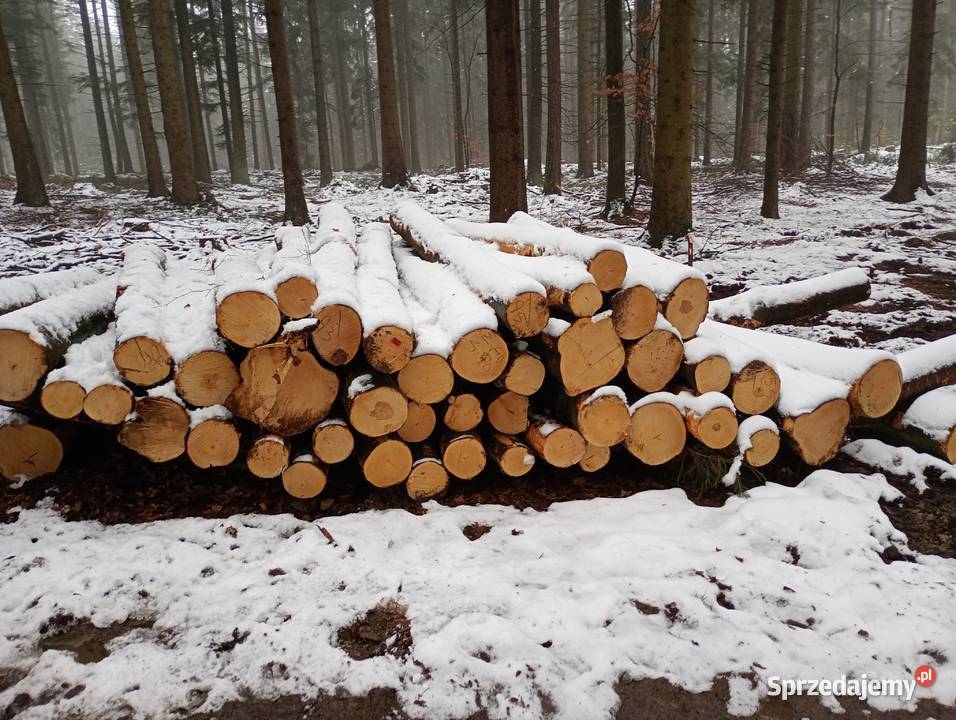 Drewno opałowe twarde buk brzoza Dom i Ogród dolnośląskie Kłodzko