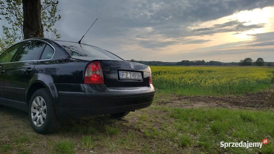 VW Passat B5 19TDI lubuskie Zielona Góra