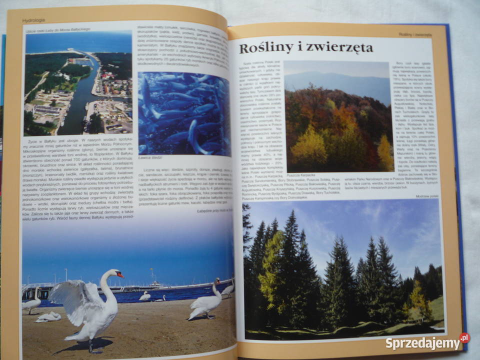 NOWA Książka Geografia Polski Biblioteka wiedzy
