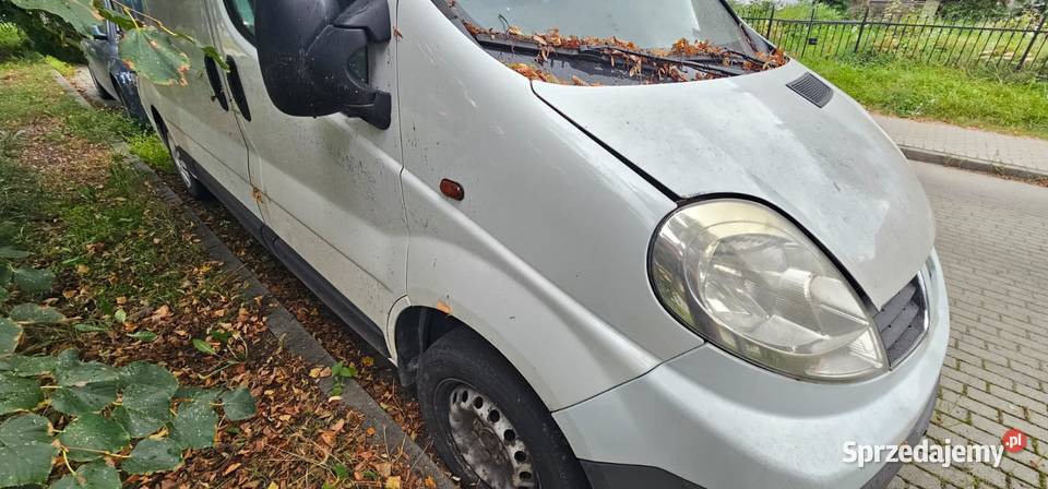 Syndyk sprzeda samochód ciężarowy Renault Trafic