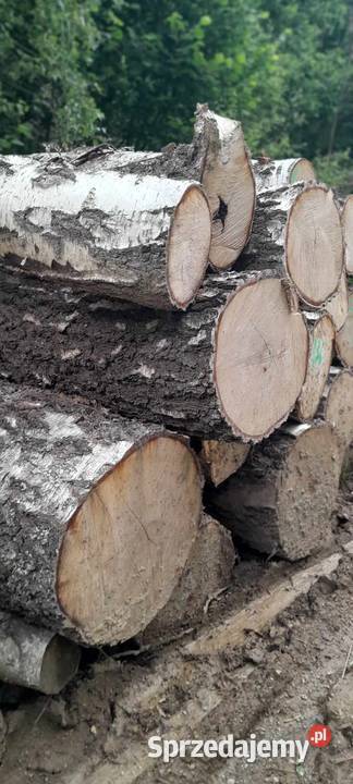 Drewno opałowe BUK GRAB drewno kominkowe drewno Krosno sprzedam