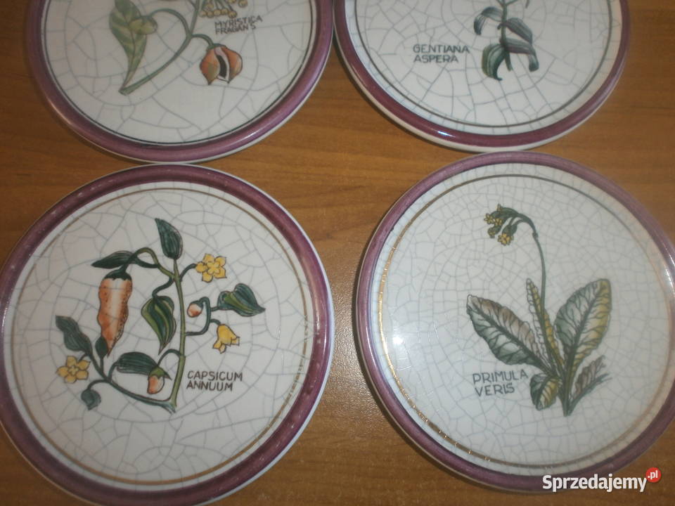 PLANTORGAN porcelana talerzyki 6 sztuk Pozostałe Zielona Góra sprzedam