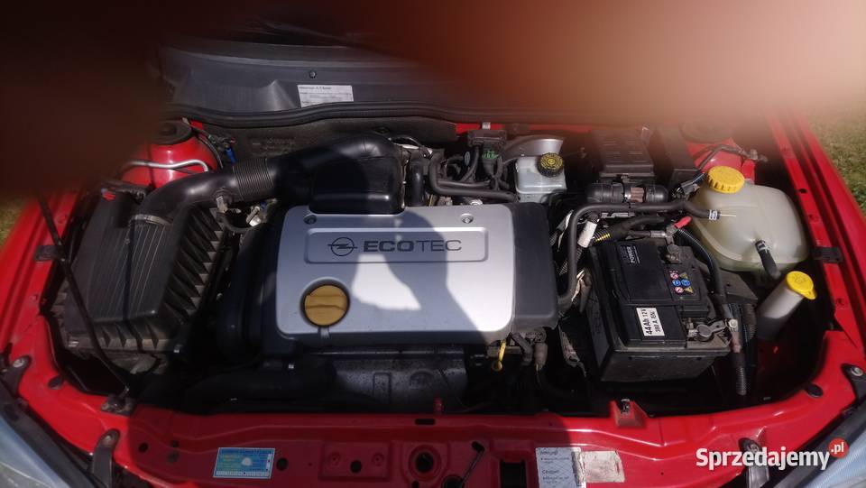 Ładny Opel Astra G