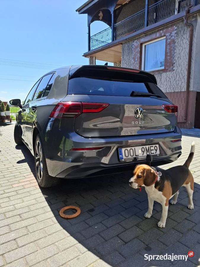 Volkswagen Golf 8 diesel 20 Olesno