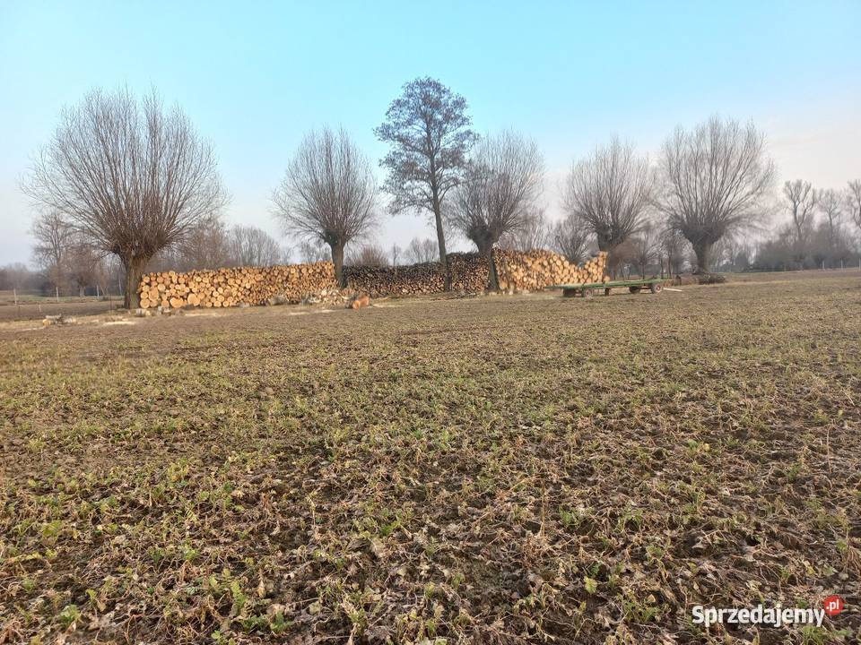 Drewno opałowe kominkowe liściaste Pozostałe Świniary